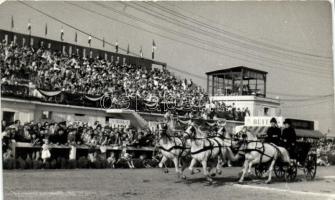 Budapest Országos Mezőgazdasági Kiállítás, fogathajtás (EK)