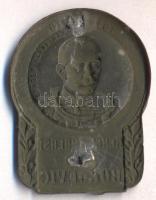 Osztrák-Magyar Monarchia 1914-1916. "Vezérezredes v. Boroevic" horgany sapkajelvény (44x33...