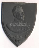 Osztrák-Magyar Monarchia 1916. "Pusterthal 1916" horgany sapkajelvény (44x35mm), készítő: BSW, Brüder Schneider, Wien; tű nélkül T:2 Austro-Hungarian Monarchy 1916. "Pusterthal 1916" zin cap badge (44x35m), maker: BSW, Brüder Schneider, Wien; without pin C:XF