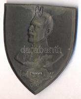 Osztrák-Magyar Monarchia 1916. "Pusterthal 1916" horgany sapkajelvény (44x35mm), készítő: ...