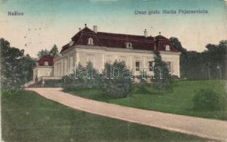 Nekcse Pejacsevics castle (EB)