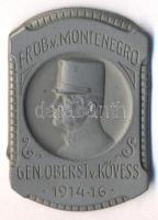 Osztrák-Magyar Monarchia 1914-1916. "Gen.Oberst, v. KÖVESS, Erob. v. MONTENEGRO" horgany sapkajelvény (40x27mm) tű nélkül T:1- Austro-Hungarian Monarchy 1914-1916. "Gen.Oberst, v. KÖVESS, Erob. v. MONTENEGRO" zin cap badge (40x27) without pin C:AU
