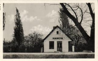 Tök Hangya szövetkezet