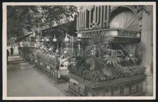 5 db régi képeslap: Schwechat éjszakai élet, Budapest Valéria Kávéház, Seress Rezső Én és a holdvilá...