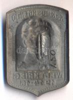 Osztrák-Magyar Monarchia 1914-1916. "K.u.K. 10. Huszárezred" Mackensen vezértábornagy port...