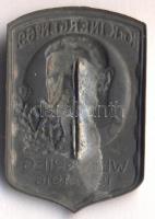 Osztrák-Magyar Monarchia 1914-1916. Hindenburg "K.u.K. 69. Gyalogezred" horgany sapkajelvé...