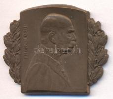 Osztrák-Magyar Monarchia 1915. "Ferenc József" tombak sapkajelvény (33x40mm), készítő: "R. Marschall 1915" tű nélkül T:2 Austro-Hungarian Monarchy 1915. "Franz Joseph I" tombac cap badge (33x40mm) maker: "R. Marschall 1915" without pin C:XF