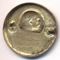 Osztrák-Magyar Monarchia 1916. "Bosznia Hercegovina Dalmácia 1916" aranyozott tombak sapka...