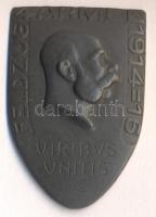 Osztrák-Magyar Monarchia 1916. "4. Hadsereg VIRIBUS UNITIS" hadifém sapkajelvény (39x25mm), készítő: "GURSCHNER WIEN" tű nélkül T:1- Austro-Hungarian Monarchy 1916. "FELDZUG 4. ARMEE - VIRIBUS UNITIS" cap badge (39x25mm) maker: GURSCHNER WIEN" without pin C:AU