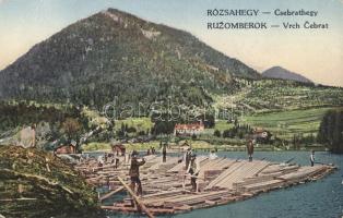 Rózsahegy with the Csebrat mountain, timber transport (EK)