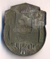 Osztrák-Magyar Monarchia 1915. "TIROL Honvédelem 1915" horgany sapkajelvény (37x31mm), kés...