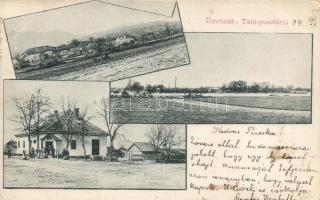 1899 Tahi-puszta, Divald