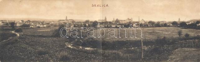 Szakolca panoramacard