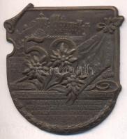 Osztrák-Magyar Monarchia 1914-1916. "59. Gyalogezred Alpesi Hadtest" bronzolt vas sapkajelvény (54x53mm), készítő: "C.Greiner Wien VII." tű nélkül T:2 Austro-Hungarian Monarchy 1914-1916. "IR 59. Das Edelweiss dem Alpenkorps gewidmet..." brass-plated iron cap badge (54x53mm) maker: "C.Greiner Wien VII." without pin C:XF