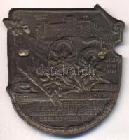 Osztrák-Magyar Monarchia 1914-1916. "59. Gyalogezred Alpesi Hadtest" bronzolt vas sapkajel...