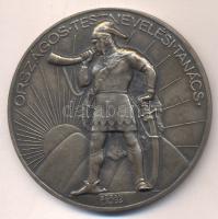 Berán Lajos (1882-1943) ~1925. "Országos Testnevelési Tanács" Br emlékérem (60mm) T:1-