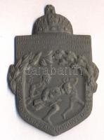 Osztrák-Magyar Monarchia 1914-1916. "M.Kir.Nagykanizsai 20. Honvéd Gyalogezred" tömör cink sapkajelvény (50x34mm) szign.:Markó L., tű nélkül T:1- Austro-Hungarian Monarchy 1914-1916. "Hungarian 20. Honved Infantry Regiment of Nagykanizsa" solid zin cap badge (50x34mm) sign.: Markó L. , without pin C:AU