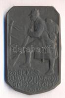 Osztrák-Magyar Monarchia 1915-1917. "26. Békési Dandár 20. Népfelkelő Gyalogezred" cink sapkajelvény (47x29mm) szign.: Pásztor, tű nélkül T:2- Austro-Hungarian Monarchy 1915-1917. "26. Békési Dandár 20. Territorial Infantry Regiment" zin cap badge (47x29mm) sign.: Pásztor , without pin C:VF