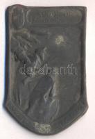 Osztrák-Magyar Monarchia 1914-1916. "17. Székesfehérvári Honvéd Gyalogezred - Kárpáti Harcainak Emlékére" cink sapkajelvény (50x30mm) tű nélkül T:2- Austro-Hungarian Monarchy 1914-1916. "17. Honvéd Infantry Regiment of Székesfehérvár - In remembrance of the battles of the Carpathians" zin cap badge (50x30mm) without pin C:VF