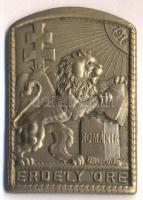 Osztrák-Magyar Monarchia 1916. "Erdély őre" aranyozott vas sapkajelvény (39x26mm) tű nélkül T:2 Austro-Hungarian Monarchy 1916. "Erdély Őre" gilt iron cap badge (39x26mm) without pin C:XF