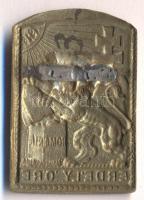 Osztrák-Magyar Monarchia 1916. "Erdély őre" aranyozott vas sapkajelvény (39x26mm) tű nélkü...