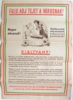 Felhívás tejbeszolgáltatásra a csecsemőhalandóság ellen. Plakát 35x50 cm