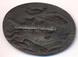 Osztrák-Magyar Monarchia 1916. "Fráter Lovas Különítmény" bronzolt cink sapkajelvény (33x4...