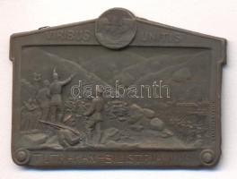 Osztrák-Magyar Monarchia 1916. "Viribus Unitis - Tutrakan-Silistria 1916" bronzolt cink sapkajelvény (34x47mm) készítő: Arkanzas Gesch., tű nélkül T:2 Austro-Hungarian Monarchy 1916. "Viribus Unitis - Tutrakan-Silistria 1916" brass-plated zin cap badge (34x47mm) maker: Arkanzas Gesch., without pin C:XF