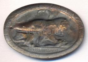 Osztrák-Magyar Monarchia 1916-17. "Románia Ellen" cink sapkajelvény (31x45mm) készítő.: Ar...