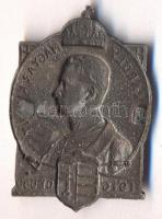 Osztrák-Magyar Monarchia 1916. "IV. Károly Magyar Király 1916 Dec 30." ezüstözött cink sap...