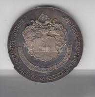 Szabó Géza (1939-) 1993. "Bozó Gyula 80 éves" Ag emlékérem (36.92g/0.925/42,5mm) T:PP pati...