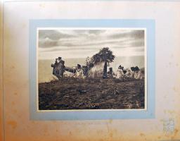 1914-1918 I. világháborús album 95db, nyomdai úton sokszorosított, feliratozott katonai fotóval balk...