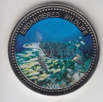 Palau 2008. 1$ "Cserepes teknős" T:BU Palau 2008. 1 Dollar "Multicolor Hawksbill turtle" C:BU