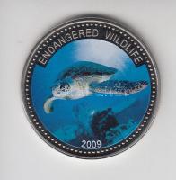 Palau 2009. 1$ "Zöld teknős" T:BU Palau 2009. 1 Dollar "Multicolor Green turtle" C:BU