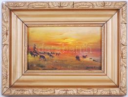 Olvashatatlan jelzéssel: Napnyugta juhásszal. Olaj, karton, keretben 17×22 cm