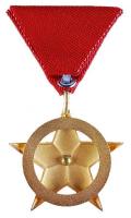 1957. "Vörös Csillag Érdemrend" aranyozott peremű zománcozott bronz kitüntetés mellszalago...