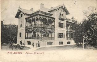 Bad Aussee Villa Kauders (b)