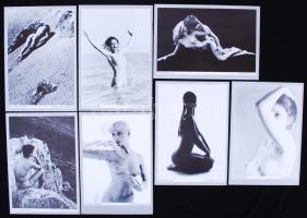 1984 Akt-mappa. 40db erotikus képpel / 
Nudes, 40 pictures