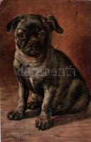 Young dog, s: M. Stocks, Moppi