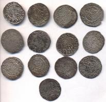 1565KB-1578KB 13db Denár Ag "Miksa" mind különféle évszámmal, (1574-es hiányzik) T:1-,2,2-...