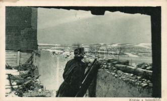 Az Érdekes Újság első világháborús harctéri fotópályázatának legszebb képei: Kilátás a fedezékből / The best WWI pictures of the photo competition of the Hungarian "Interesting Newspaper": View from the entrenchment