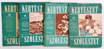 1962 A Kertészet c. újság 22 db száma