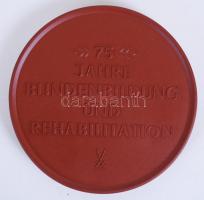 1980 A chemnitzi Vakok Intézetének 75 éves jubileumára készített kerámia plakett díszdobozban / 
&qu...