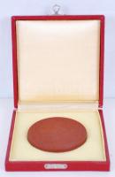 1980 A chemnitzi Vakok Intézetének 75 éves jubileumára készített kerámia plakett díszdobozban / 
&qu...