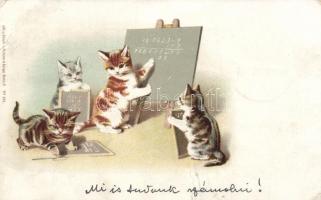 1898 Counting cats litho (b)