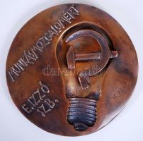 Janzer Frigyes (1939-): Munkásmozgalomért. Bronz plakett, d:12 cm, dobozban