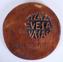 Janzer Frigyes (1939-): Munkásmozgalomért. Bronz plakett, d:12 cm, dobozban