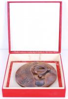 Janzer Frigyes (1939-): Munkásmozgalomért. Bronz plakett, d:12 cm, dobozban