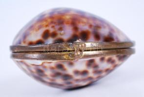 Tengeri kagylóból készített kis szelence /  Little jewelry box made from sea shell, 5,5x6cm