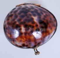 Tengeri kagylóból készített kis szelence / 
Little jewelry box made from sea shell, 5,5x6cm